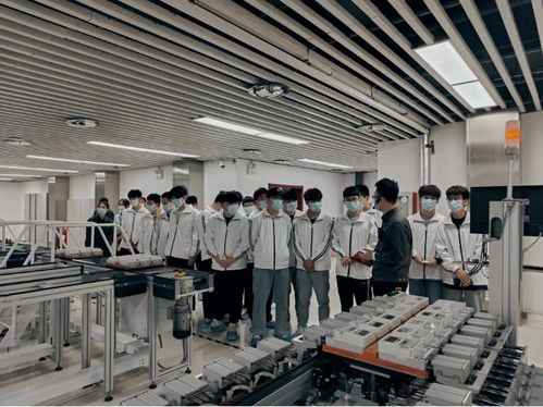 河南網絡技術服務蓬勃發展，助力數字強省建設邁入新階段